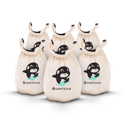 The Bath Filter 6-pack